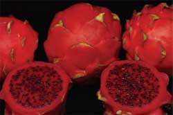 Pitahaya