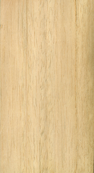 Ceiba wood
