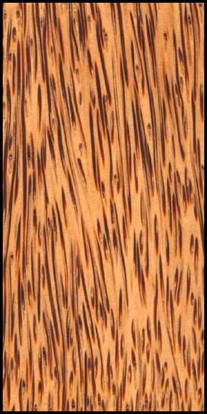 coconut wood