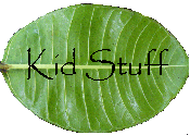kids stuff