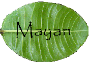 Mayan