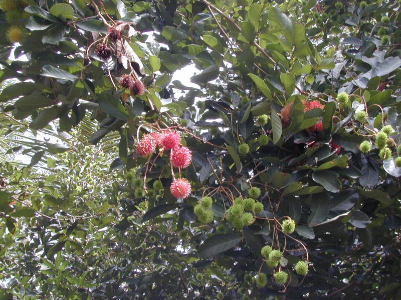 photo photo