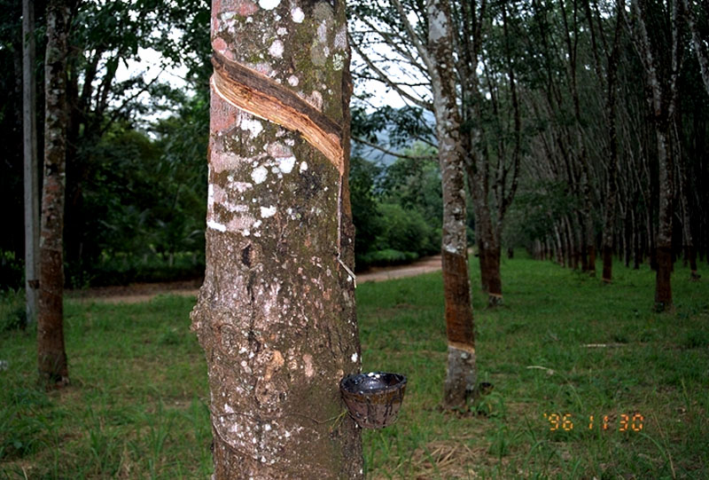 photo photo